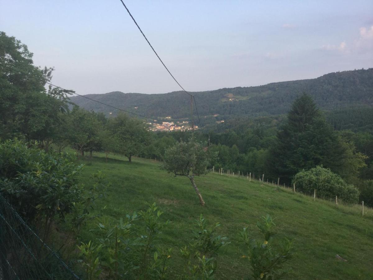 La Ferme De La-Haut B&B Le Haut-du-Them Экстерьер фото