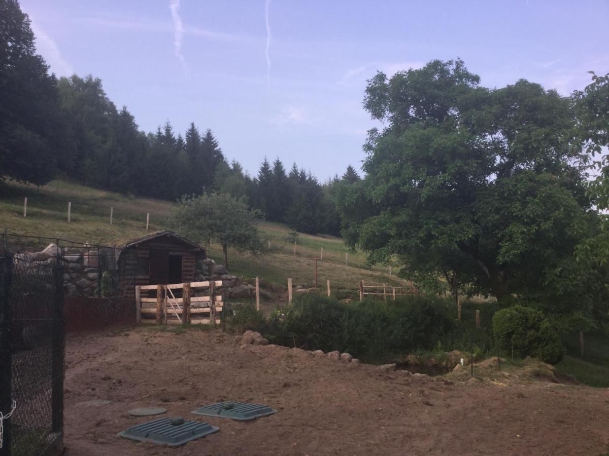 La Ferme De La-Haut B&B Le Haut-du-Them Экстерьер фото